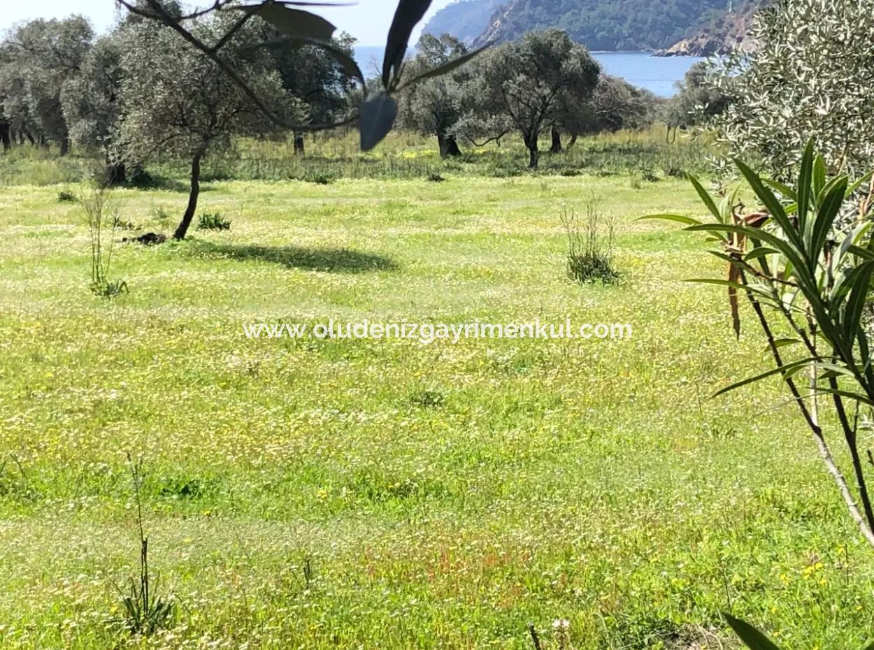 3250M2 Land For Sale In Ekincik With A View Near The Sea