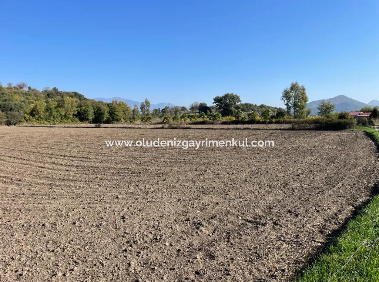 6254M2 Field For Sale Near Dalyan In Eskiköy