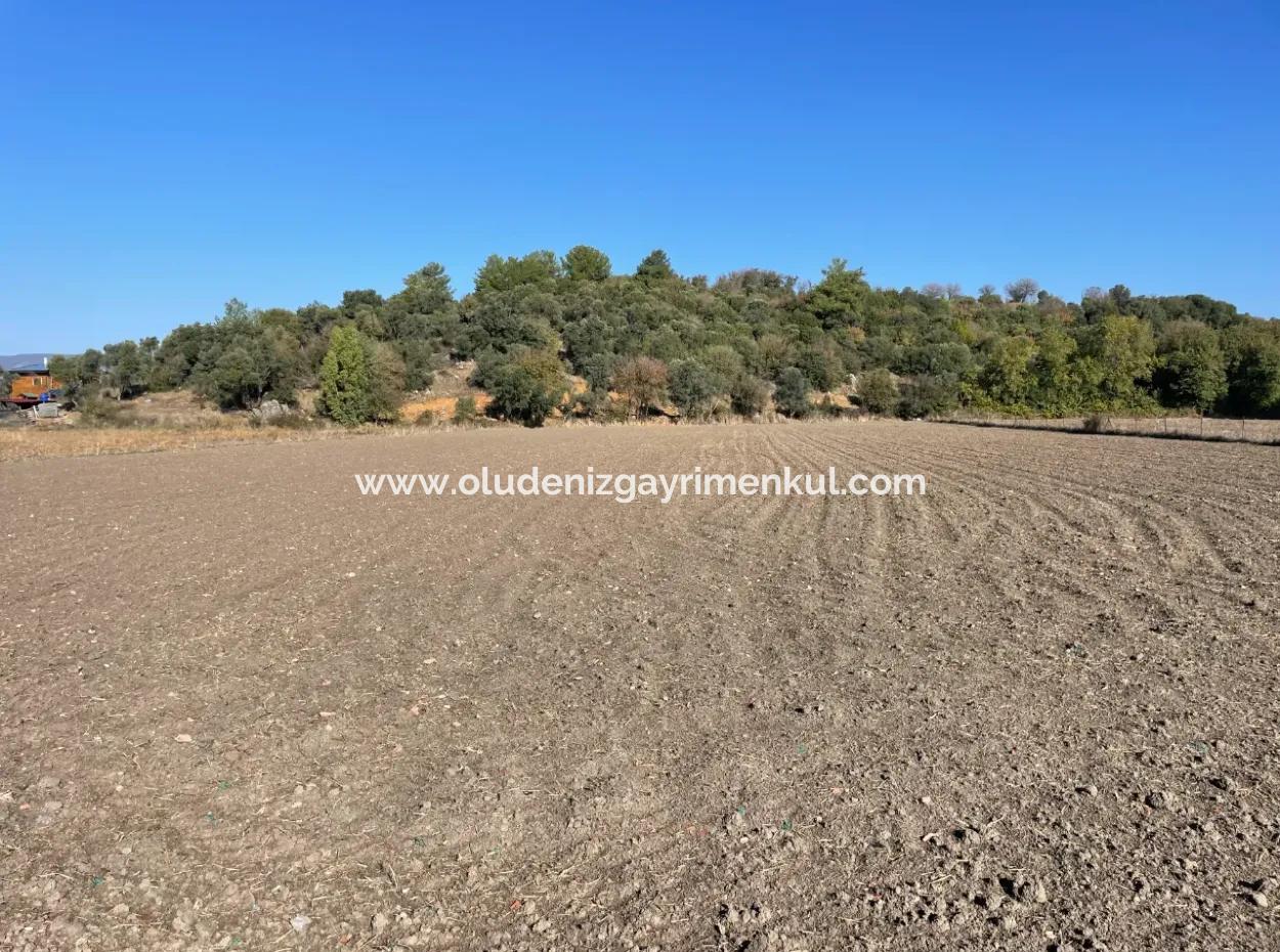6254M2 Field For Sale Near Dalyan In Eskiköy