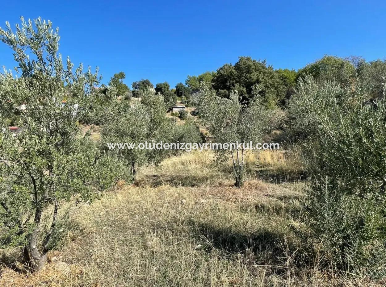 Gökbelde Full Sea View 3514M2 Land For Sale