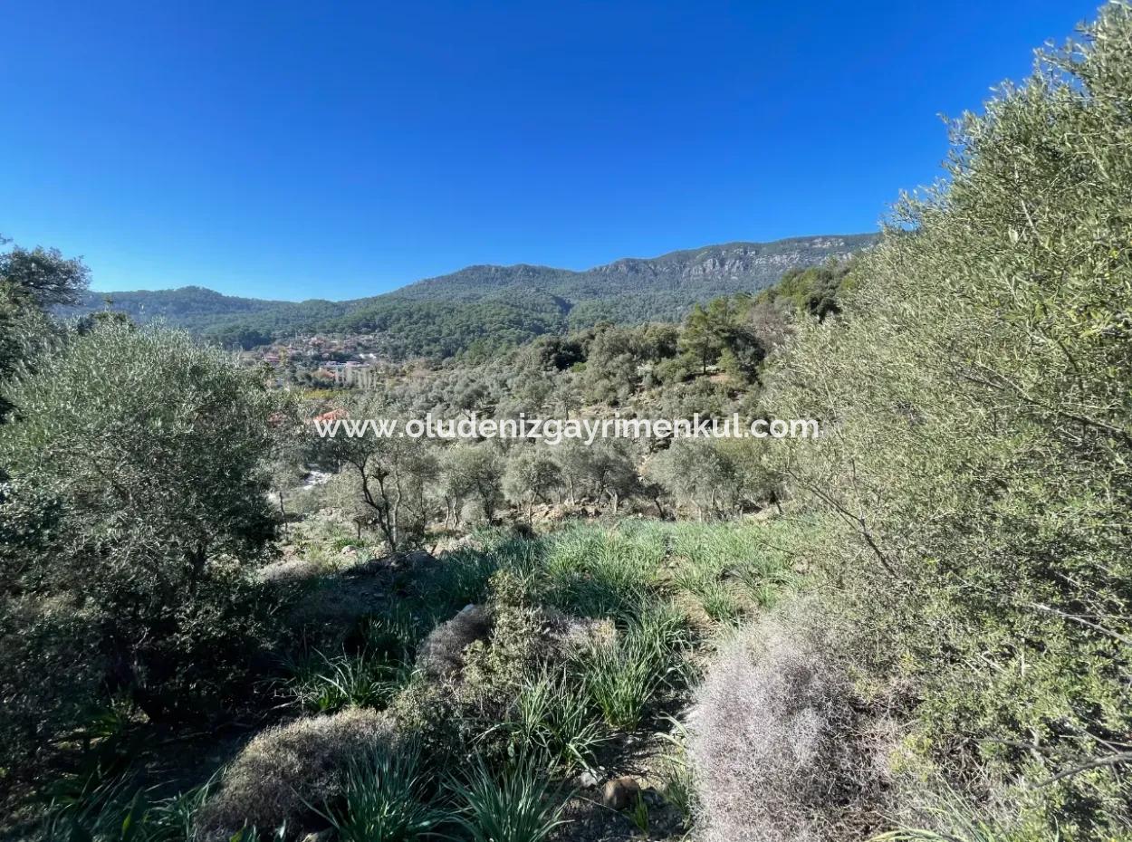 950M2 2B Field For Sale With Sea And Lake View In Çandır