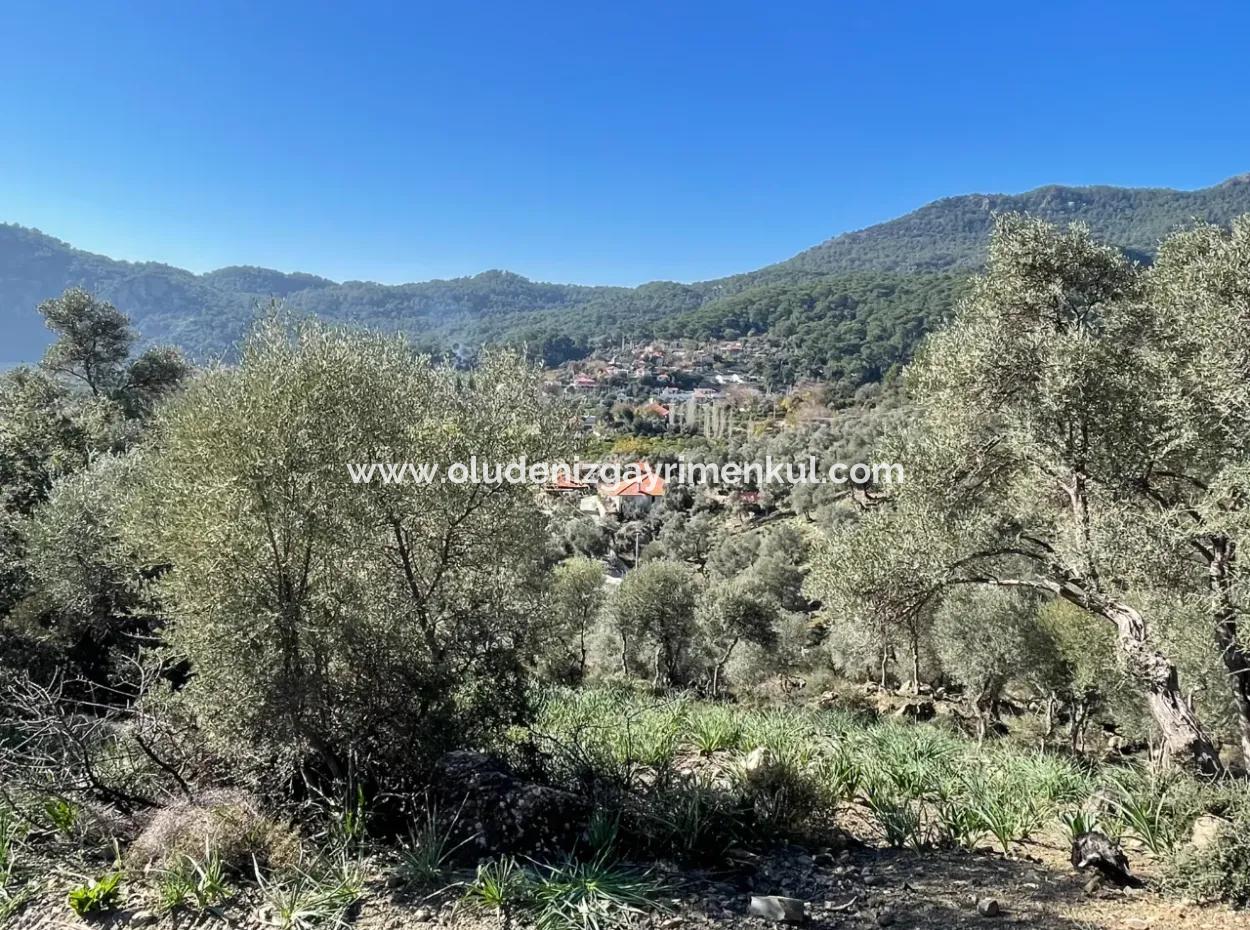 950M2 2B Field For Sale With Sea And Lake View In Çandır