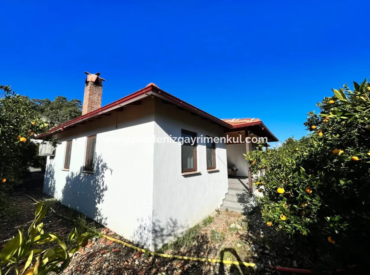 One-Storey House For Sale In 5000M2 Land In Çandır