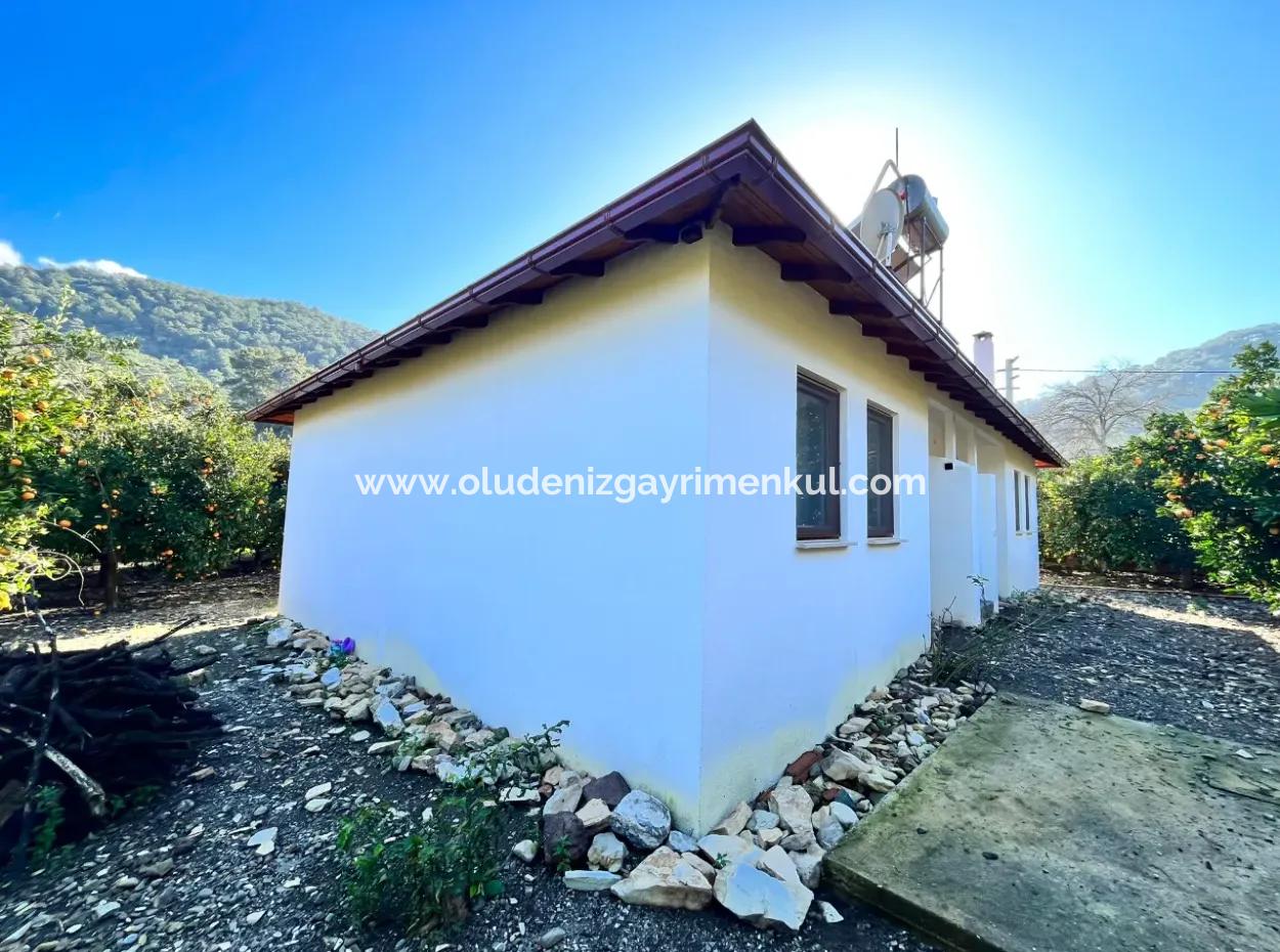 One-Storey House For Sale In 5000M2 Land In Çandır