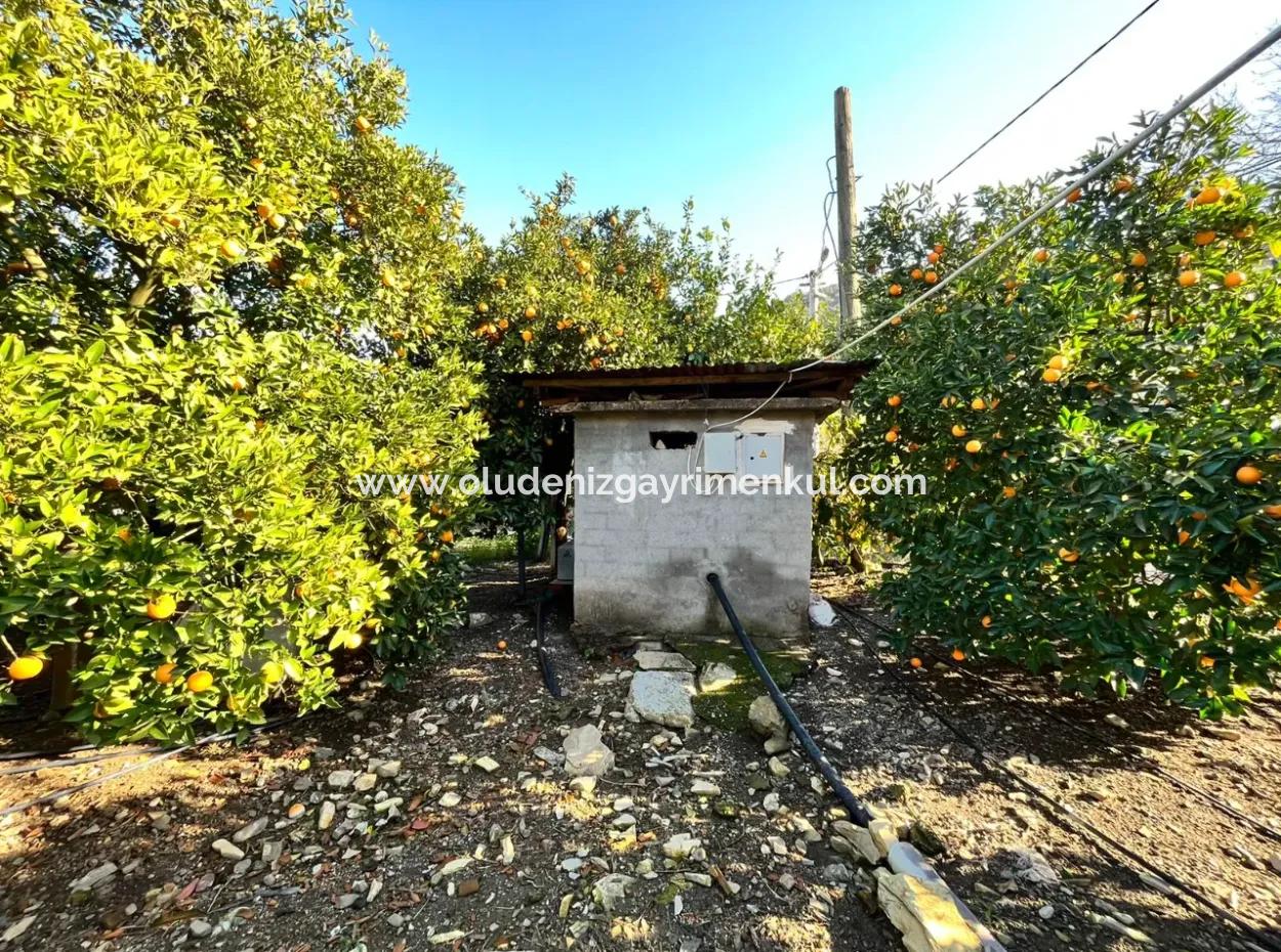 One-Storey House For Sale In 5000M2 Land In Çandır