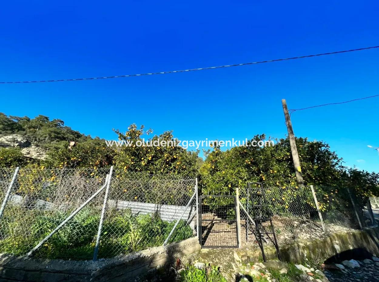One-Storey House For Sale In 5000M2 Land In Çandır