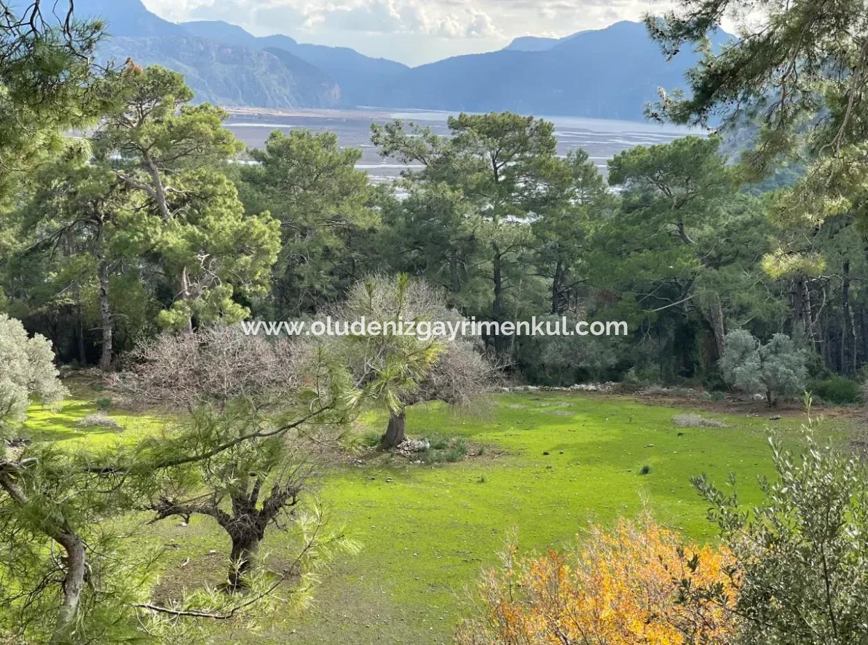 10,707M2 2B Field For Sale With Sea Lake View In Çandır
