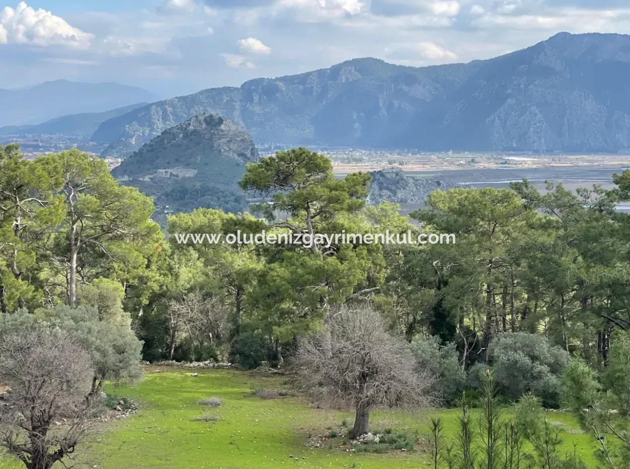 10,707M2 2B Field For Sale With Sea Lake View In Çandır