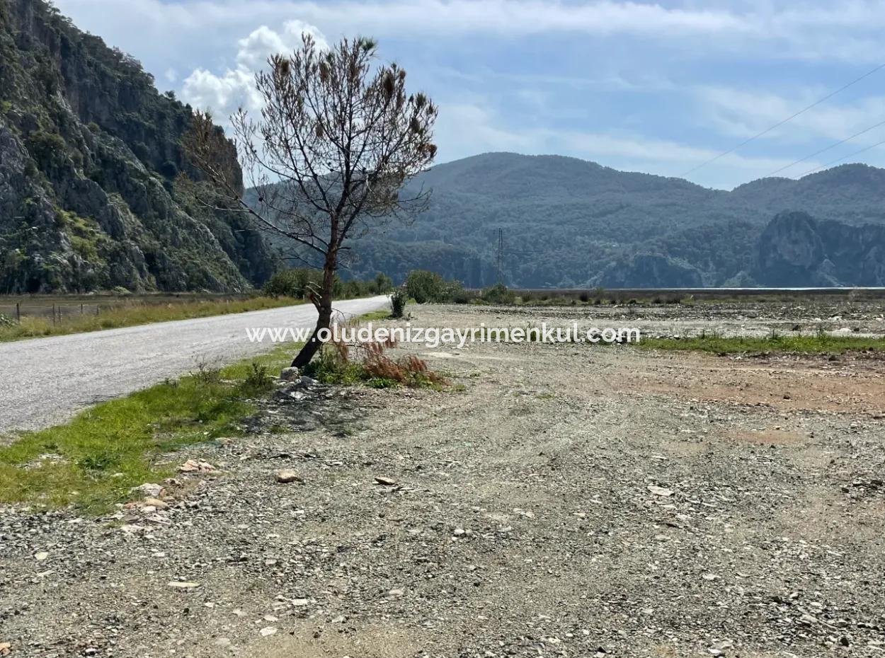 Dalyan Iztuzu Beach Road Zero 19,600M2 Field Land For Sale
