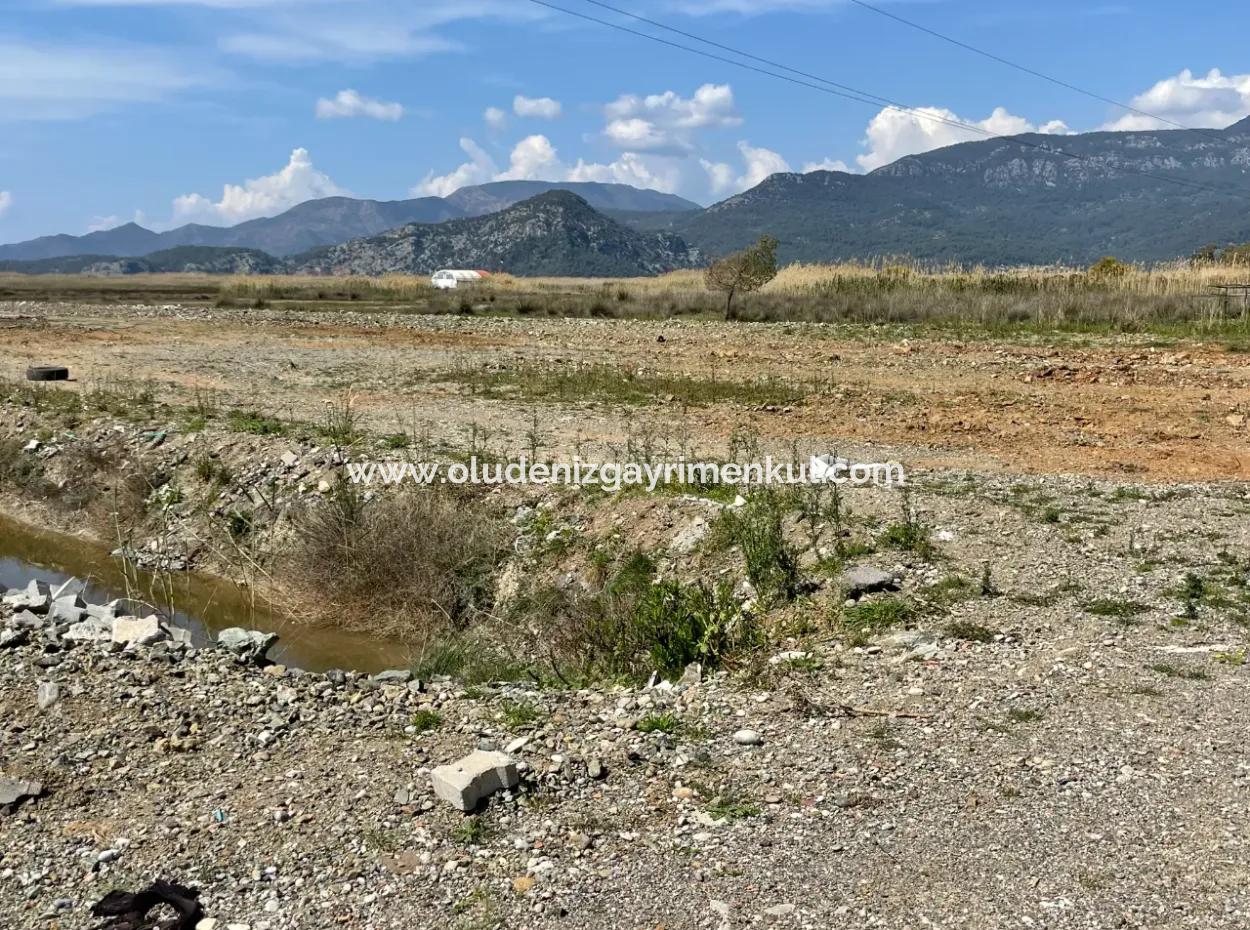 Dalyan Iztuzu Beach Road Zero 19,600M2 Field Land For Sale