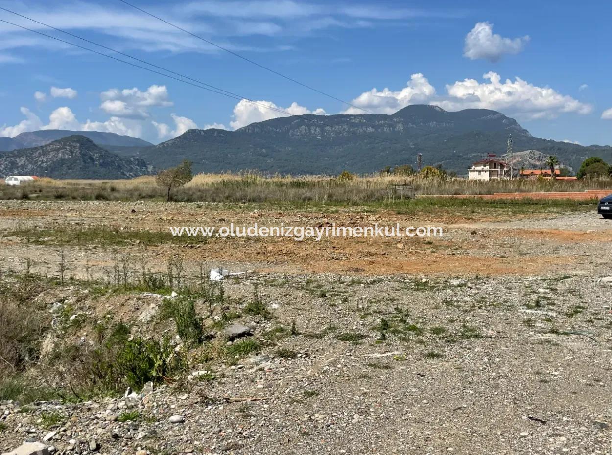 Dalyan Iztuzu Beach Road Zero 19,600M2 Field Land For Sale