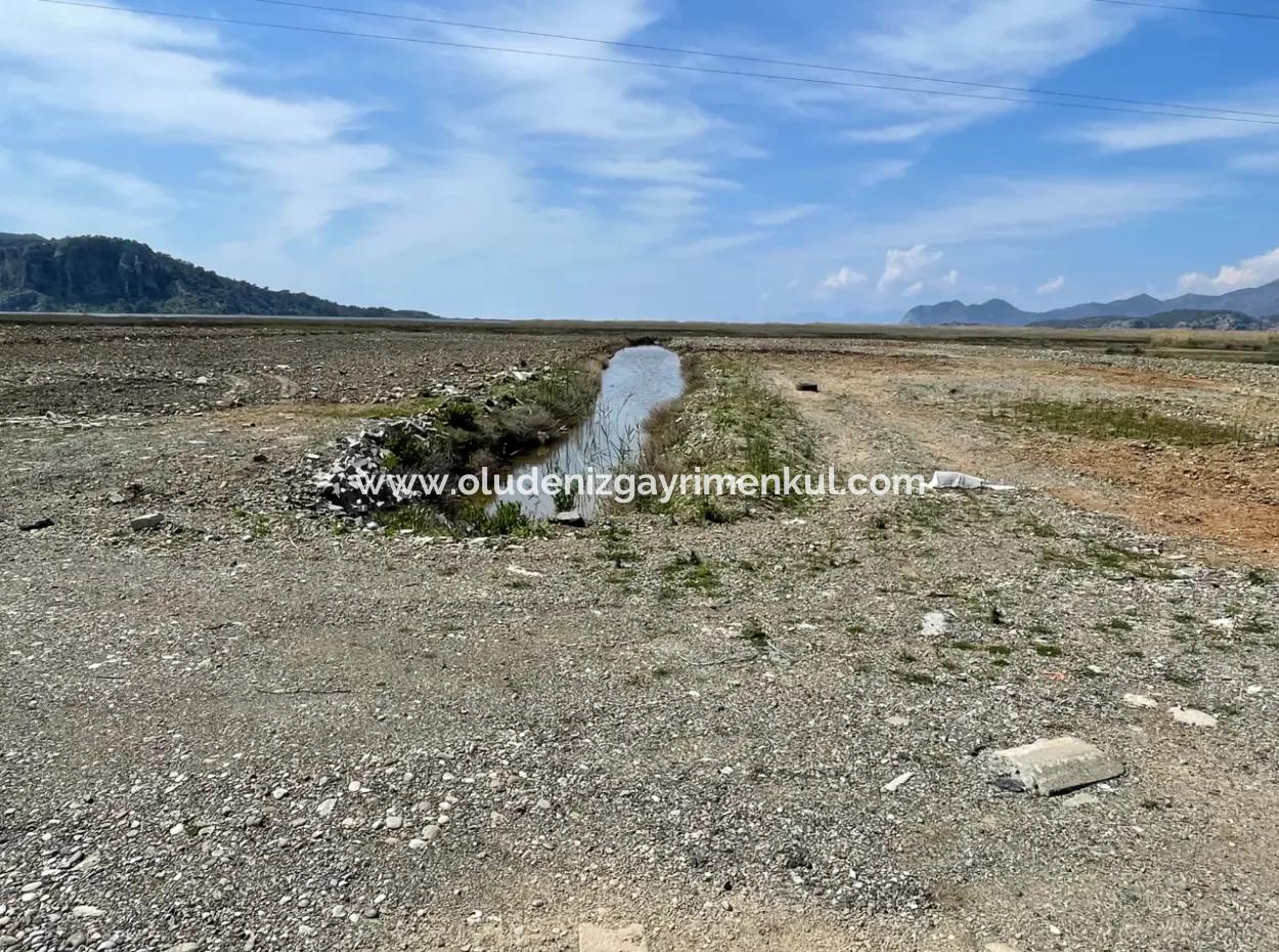 Dalyan Iztuzu Beach Road Zero 19,600M2 Field Land For Sale