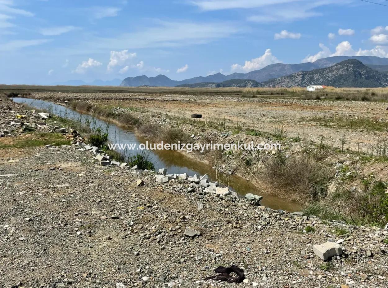 Dalyan Iztuzu Beach Road Zero 19,600M2 Field Land For Sale