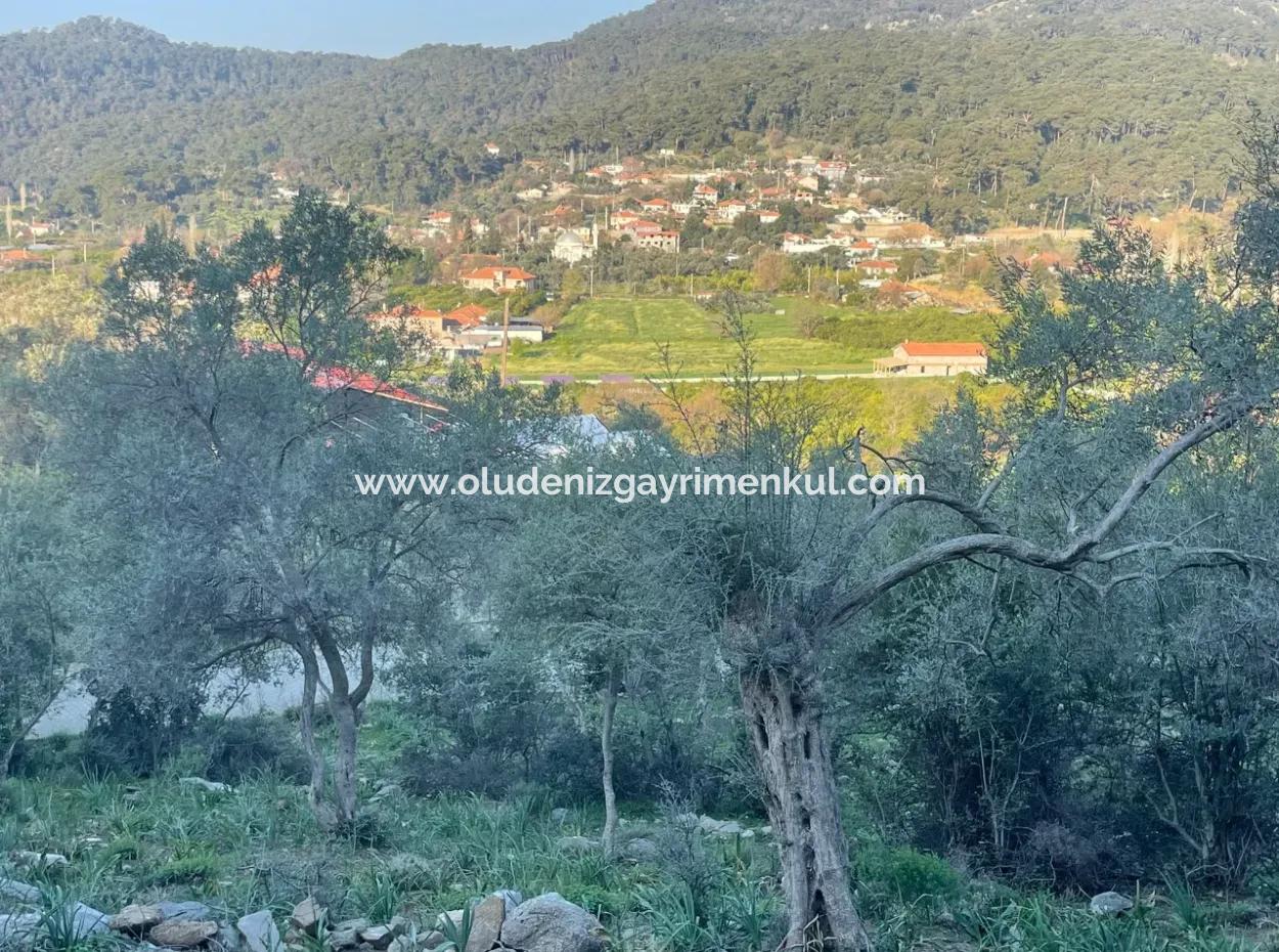 Çandır Lake Sea View 2,806M2 2B Field For Sale