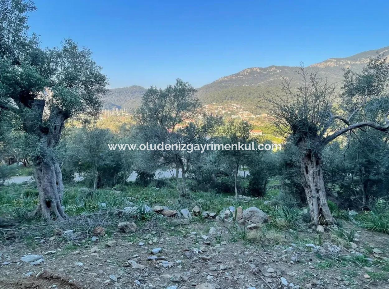 Çandır Lake Sea View 2,806M2 2B Field For Sale