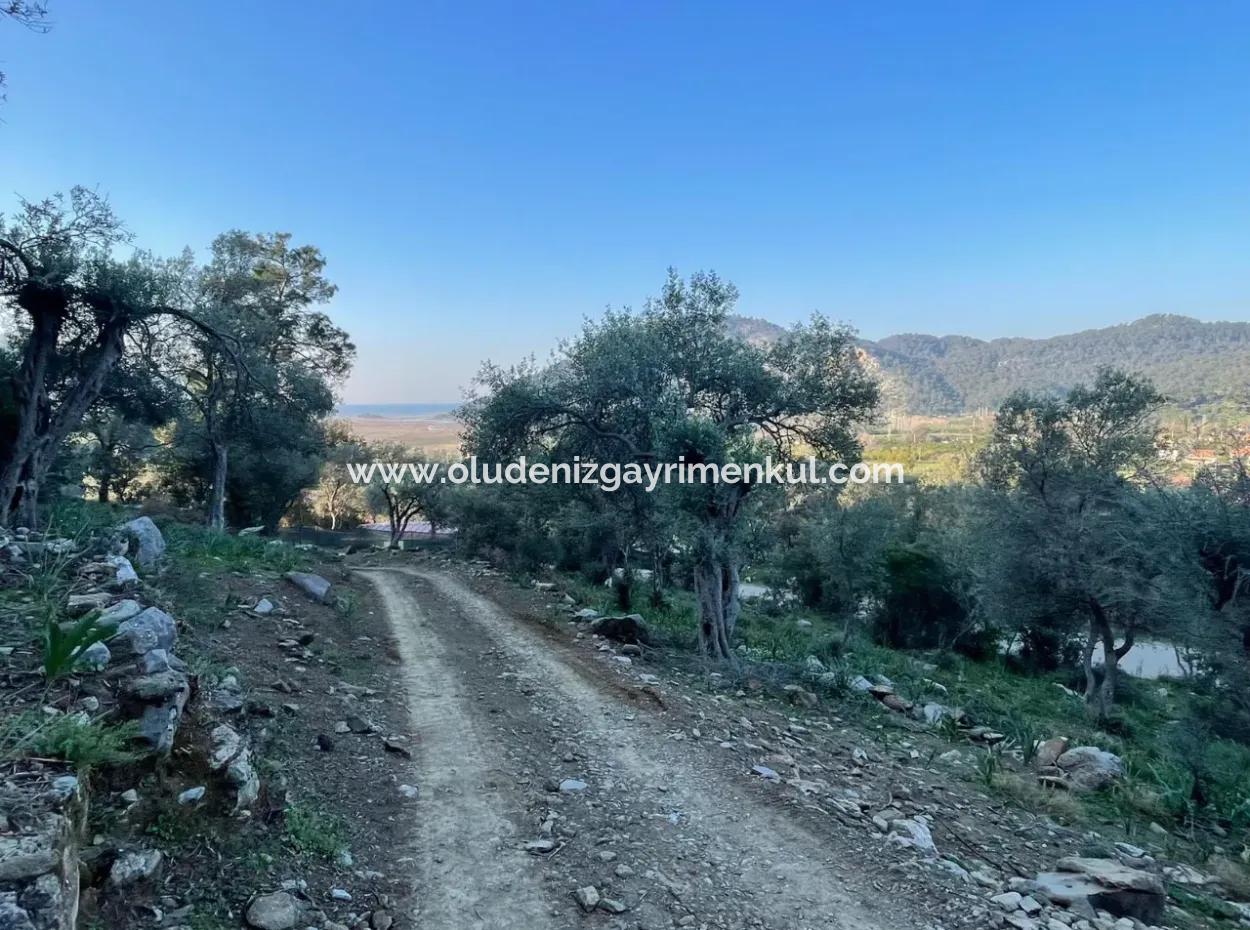 Çandır Lake Sea View 2,806M2 2B Field For Sale