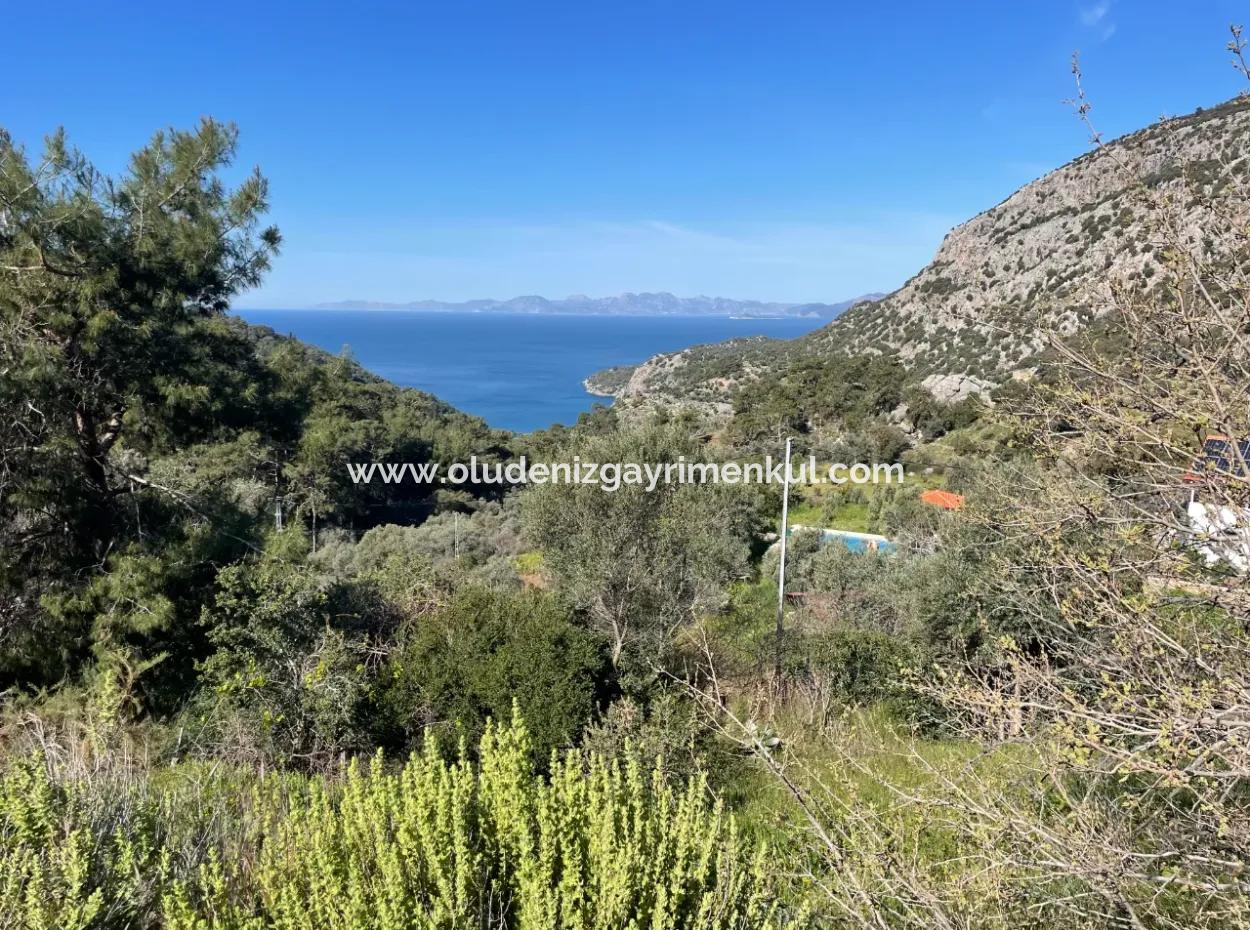 Village House For Sale In 4,400M2 Land With Full Sea View In Gökbel