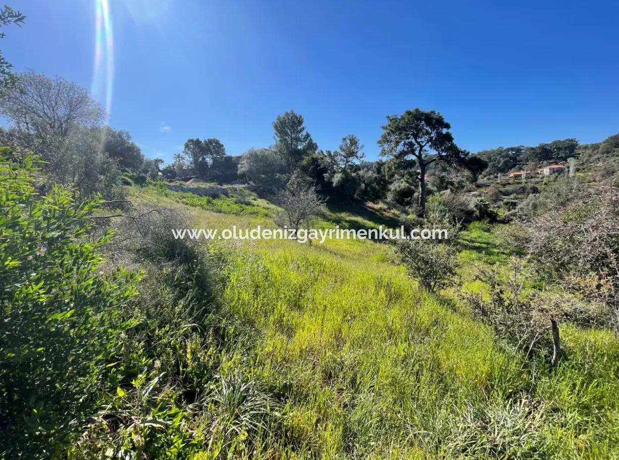 Village House For Sale In 4,400M2 Land With Full Sea View In Gökbel