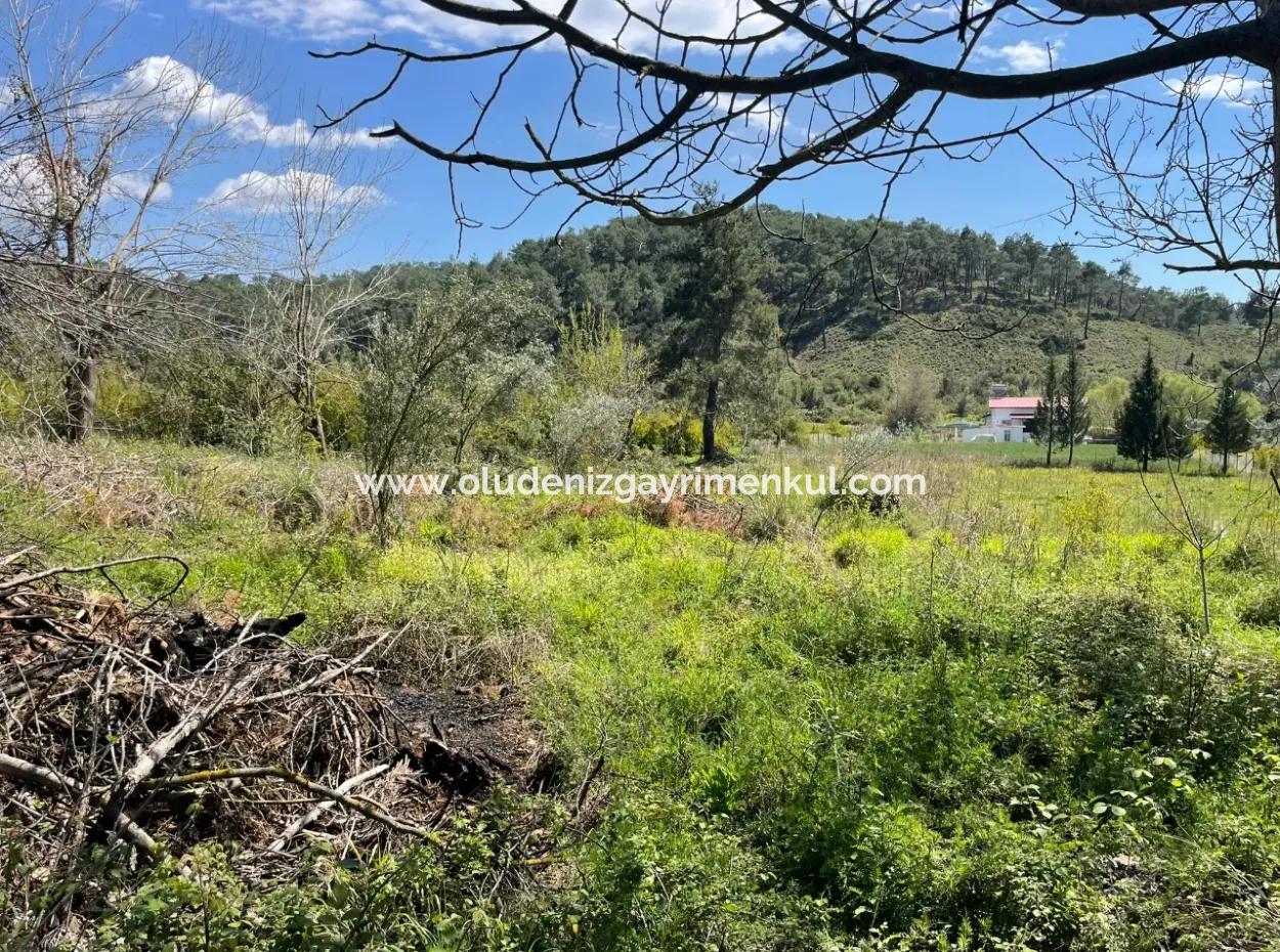 Village House For Sale In 5650M2 Field In Zeytinalann