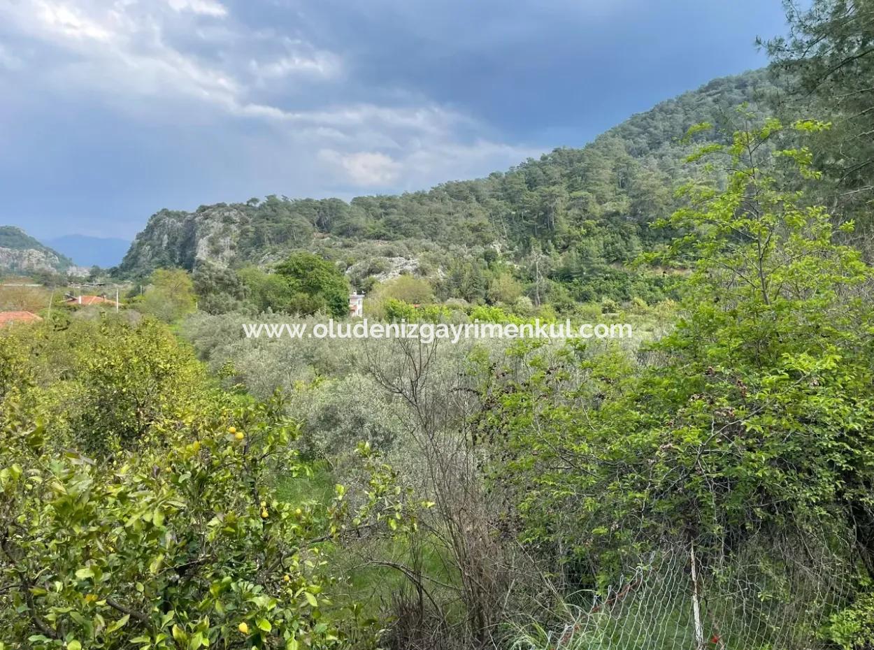 5000M2 Field For Sale At The Beginning Of The Road In Çandır