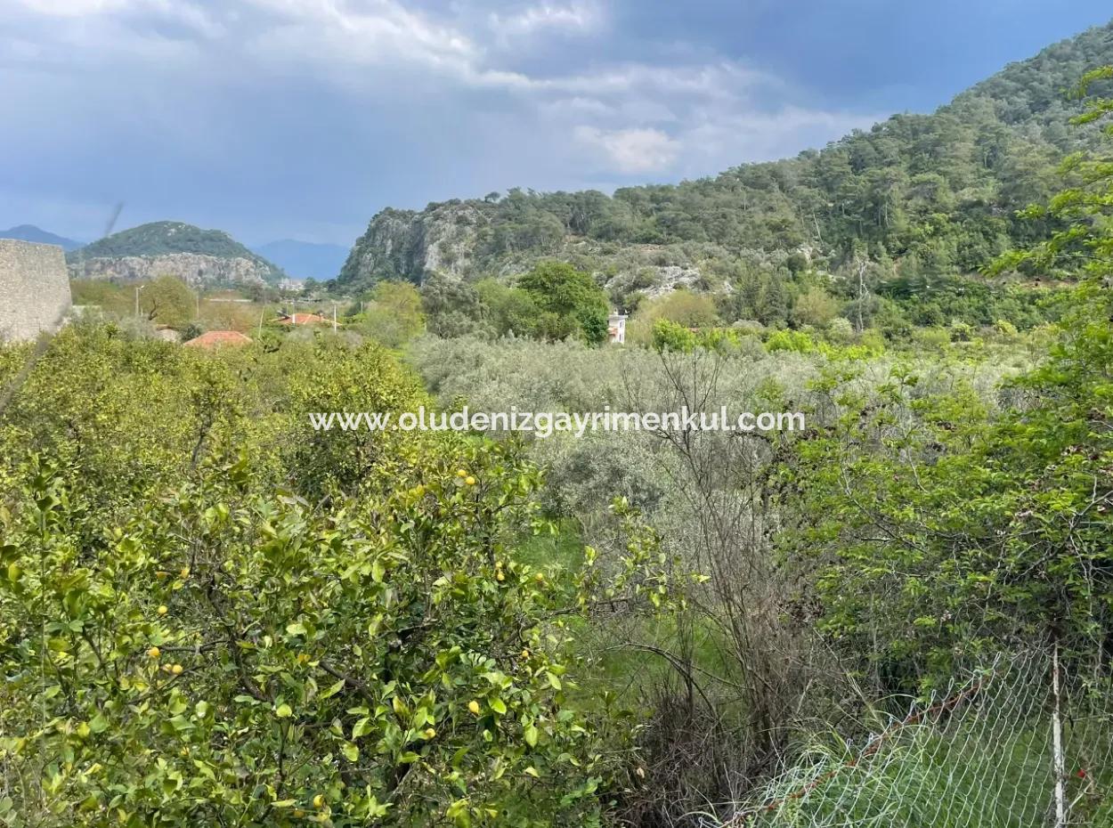 5000M2 Field For Sale At The Beginning Of The Road In Çandır