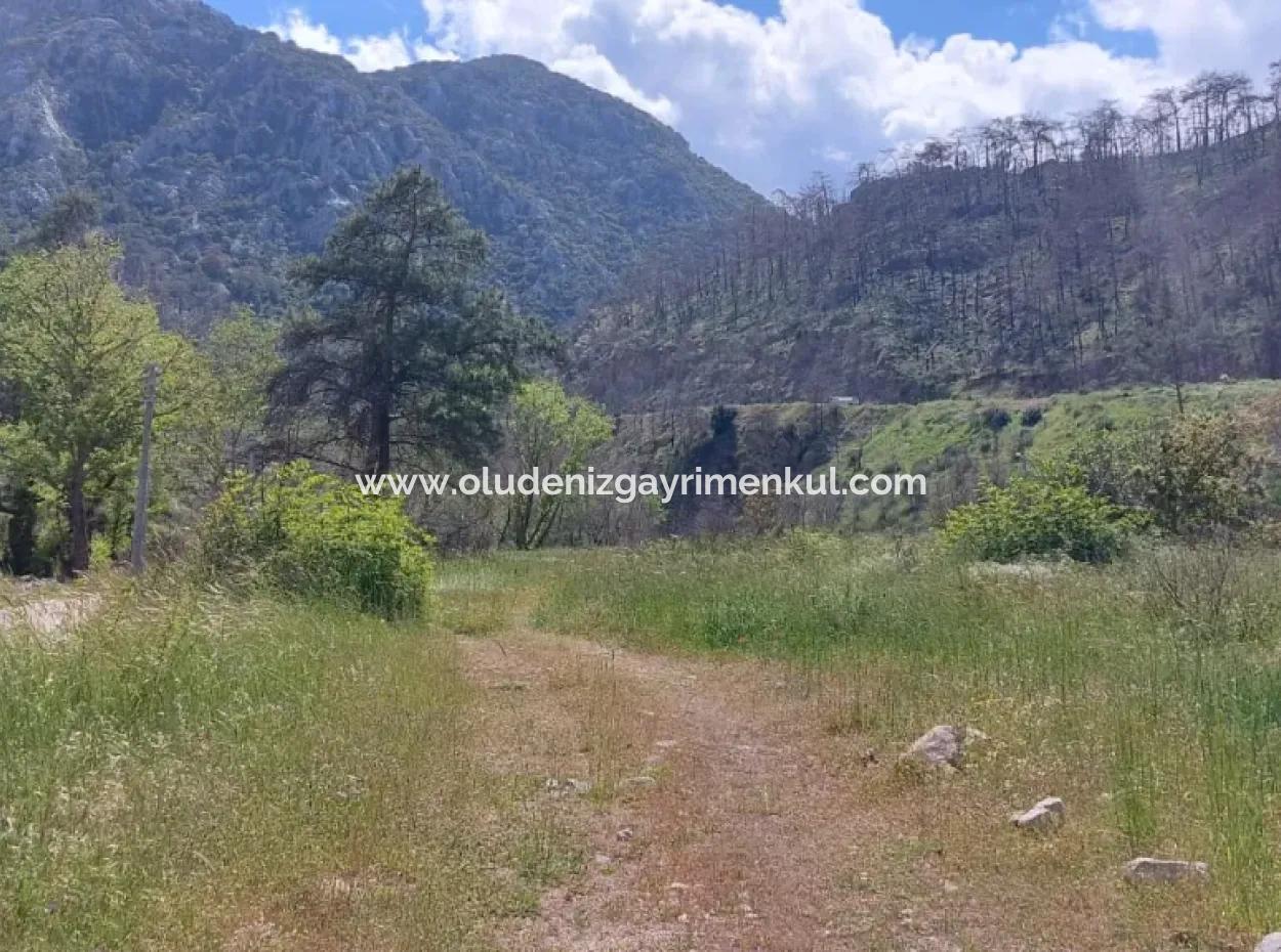 Marmaris Turgut Investment Land For Sale 29600M2 For Sale