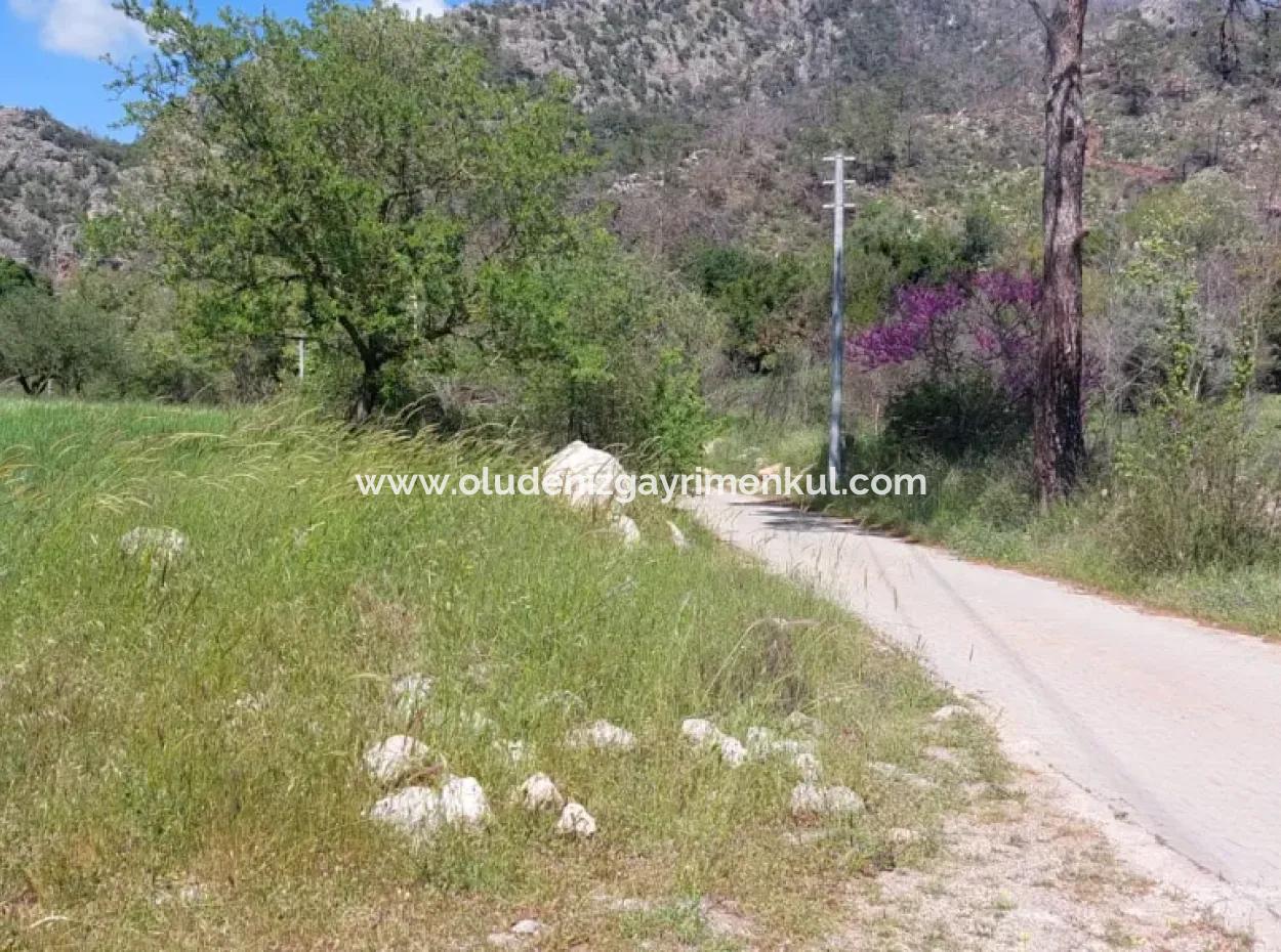 Marmaris Turgut Investment Land For Sale 29600M2 For Sale