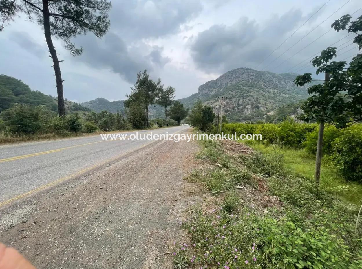 Gökbelde 14,000M2 Field For Sale