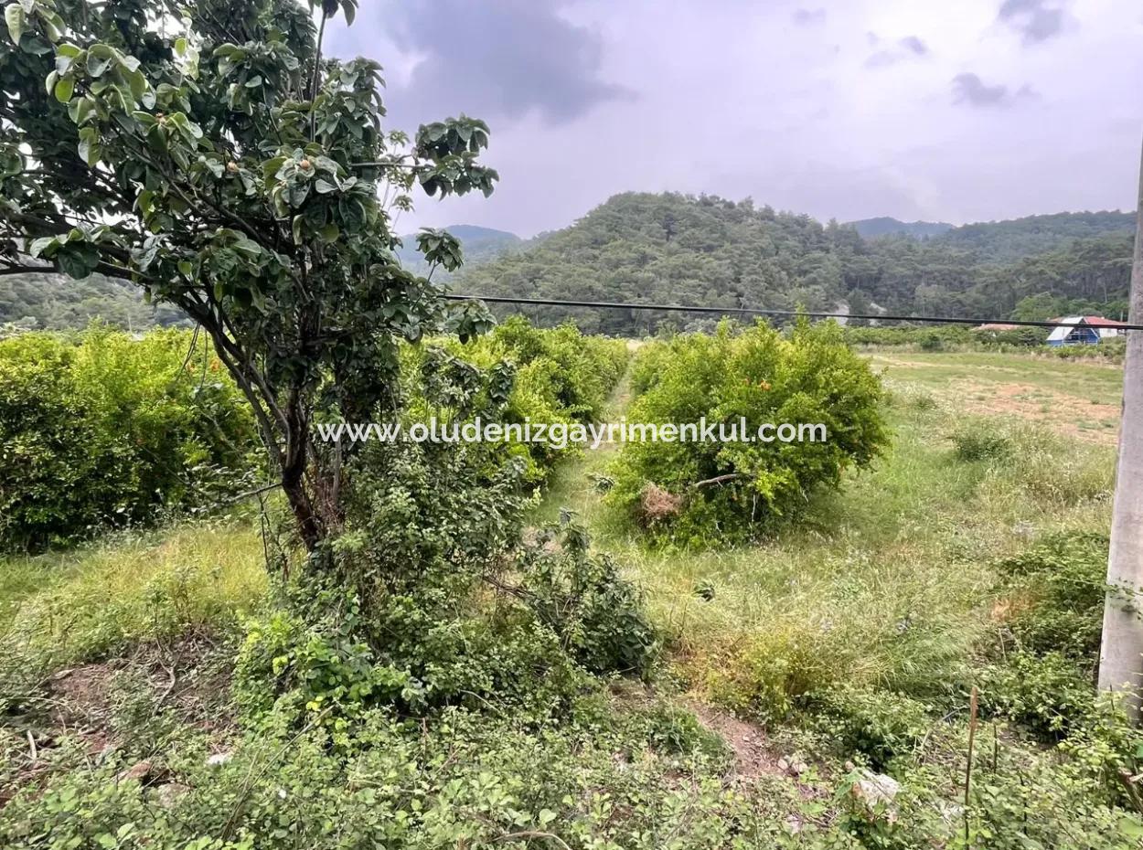 Gökbelde 14,000M2 Field For Sale