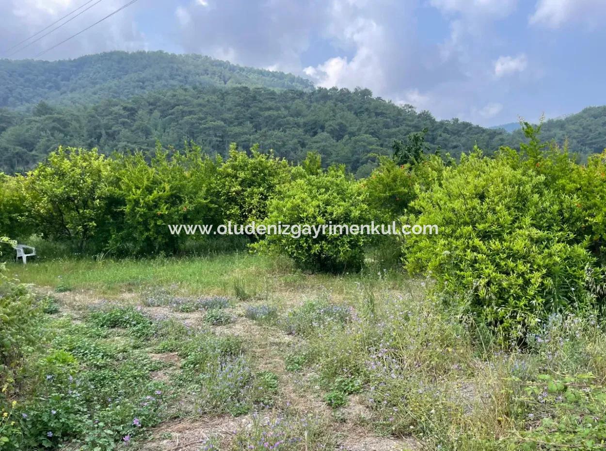 7800M2 Land For Sale At The Beginning Of Iztuzu Beach Road In Gökbel