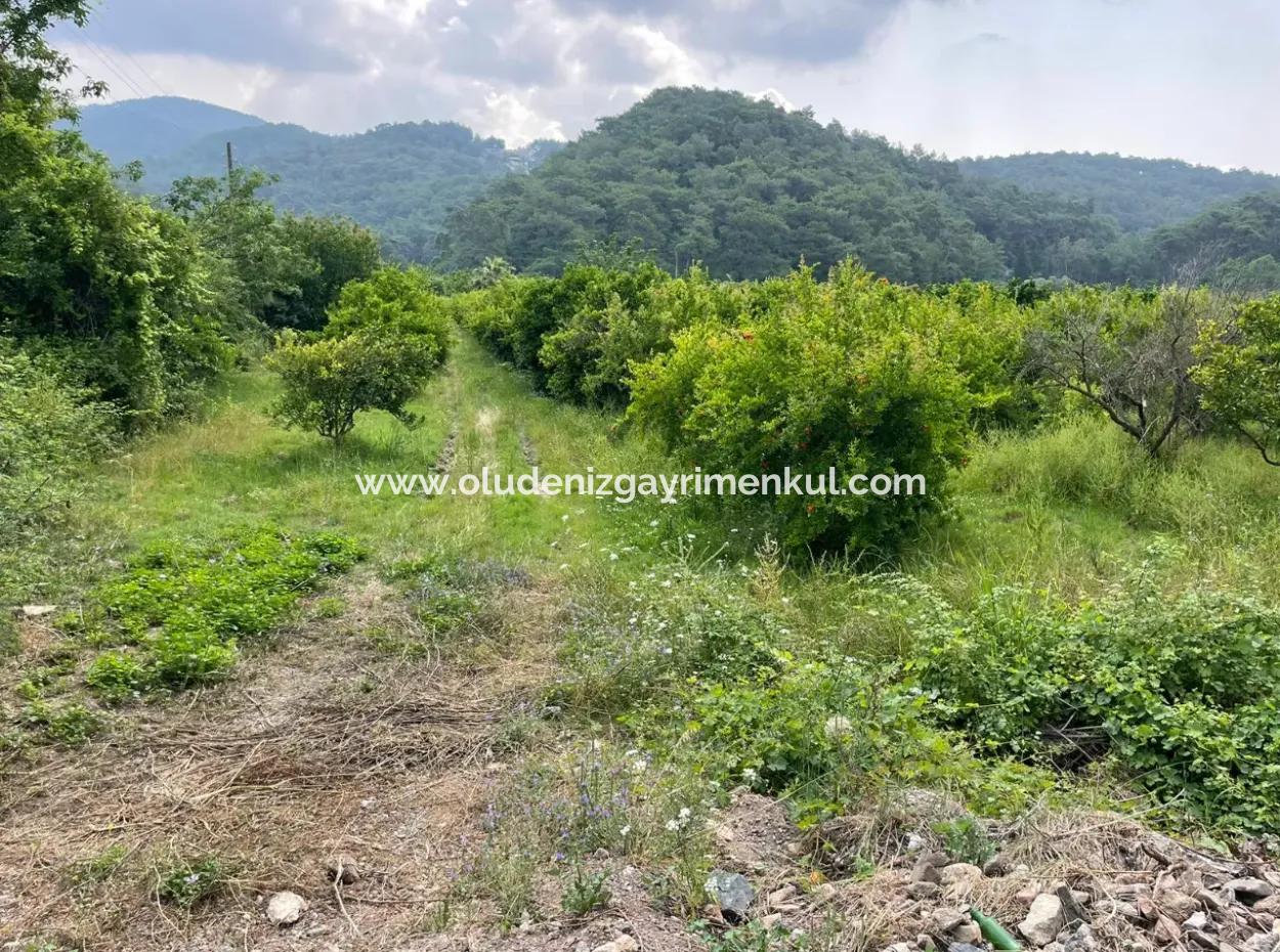 7800M2 Land For Sale At The Beginning Of Iztuzu Beach Road In Gökbel
