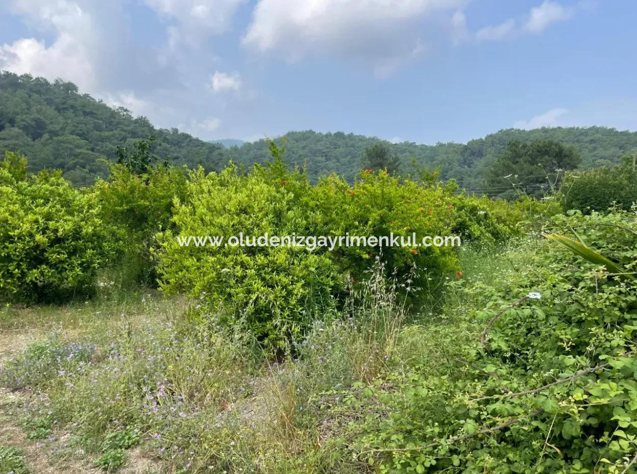 7800M2 Land For Sale At The Beginning Of Iztuzu Beach Road In Gökbel