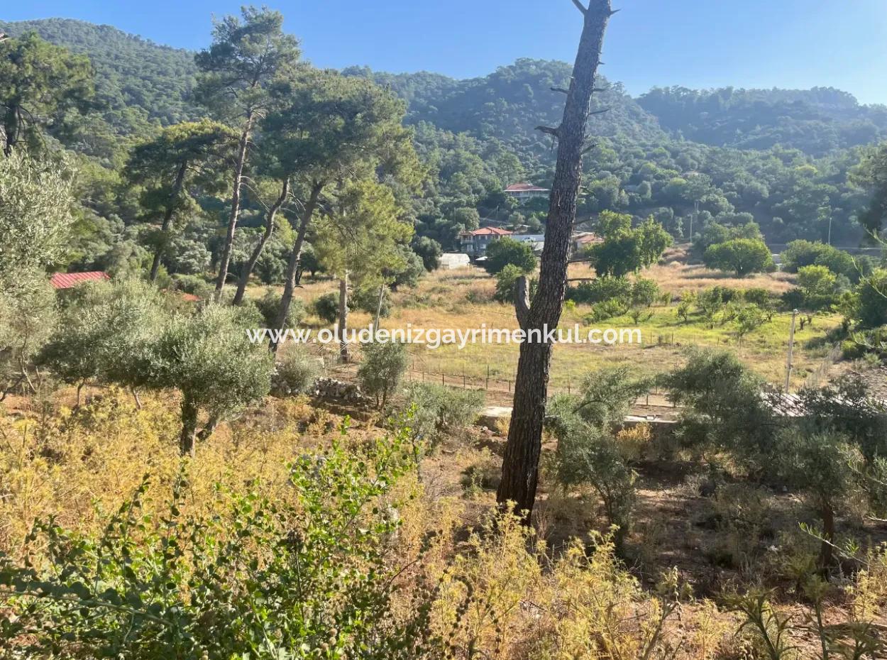 1,320M2 Field For Sale In Çandır Center By The Forest