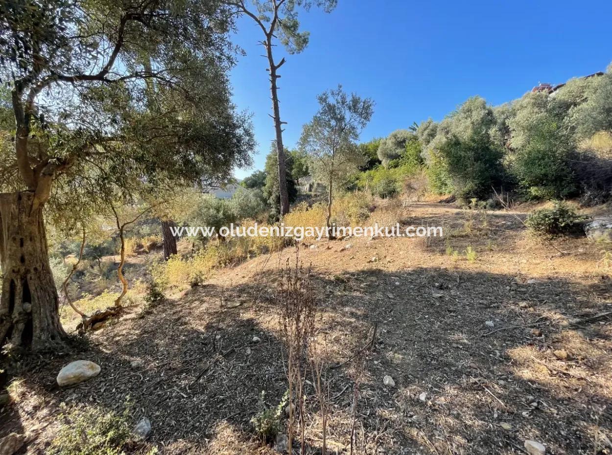 1,320M2 Field For Sale In Çandır Center By The Forest