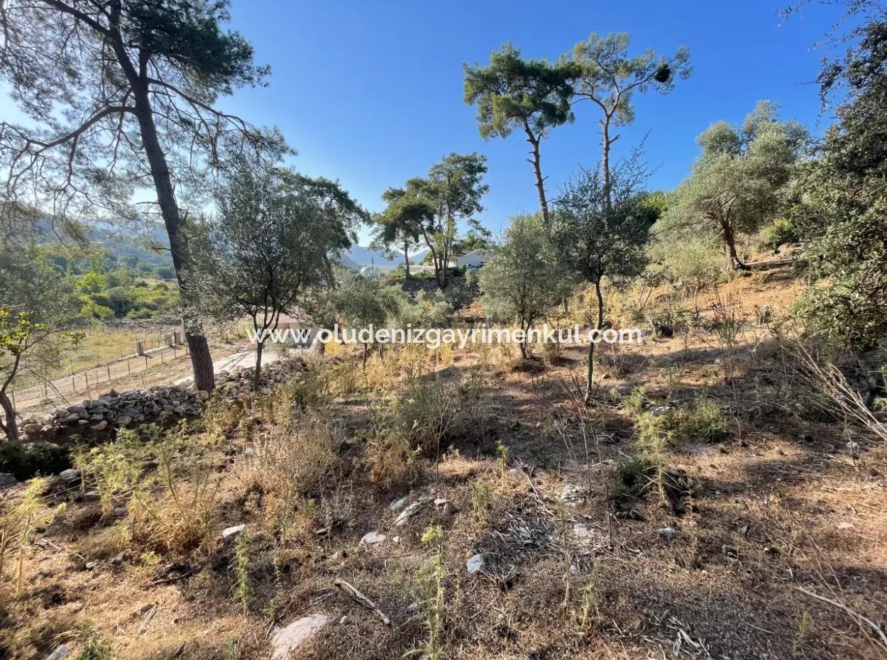 1,320M2 Field For Sale In Çandır Center By The Forest
