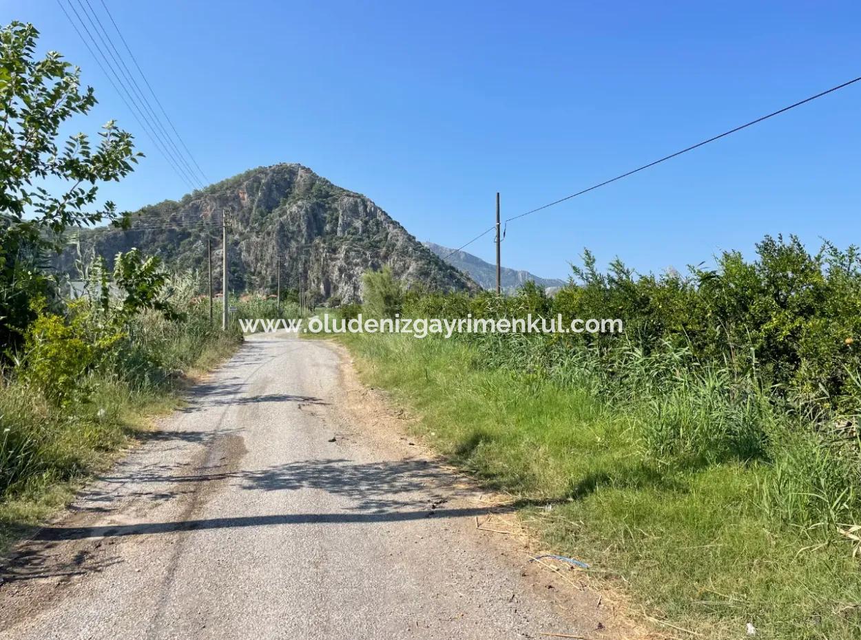 10,000M2 Pomegranate Garden For Sale In Dalyan Arıkbaşı And Gerendüzün
