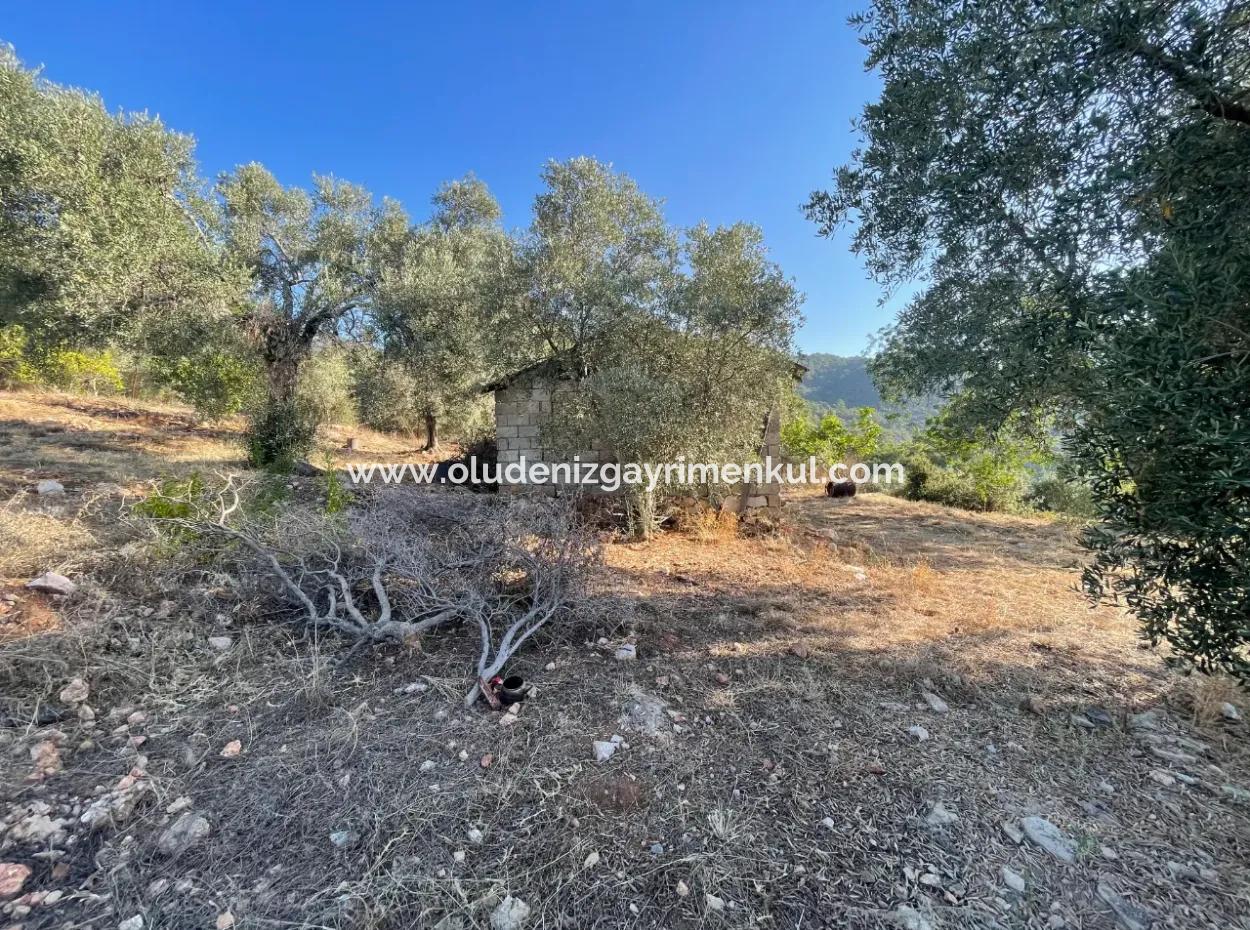 Çandır Full Sea And Lake View 500M2 2B Field For Sale