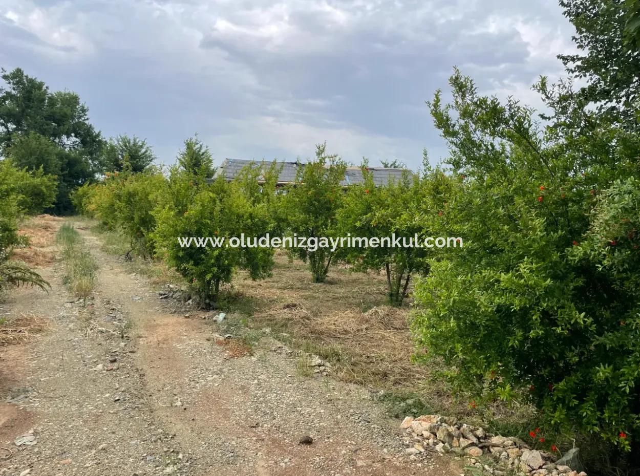 2,528M2 Field For Sale Near The Center Of Dalyan