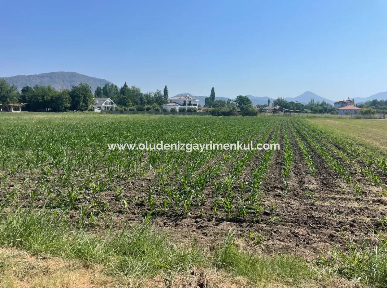 Land For Sale Of 2715M2 In The Built-Up Area Of The Village In Okçular