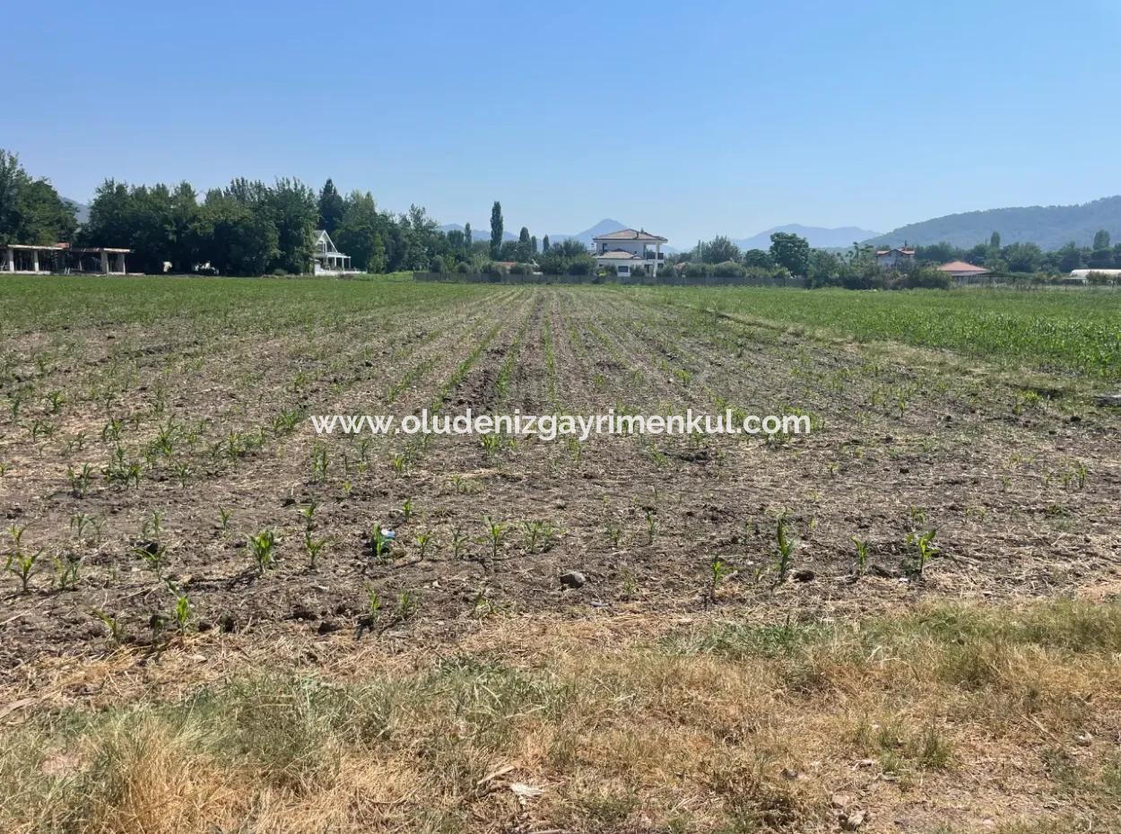 Land For Sale Of 2715M2 In The Built-Up Area Of The Village In Okçular