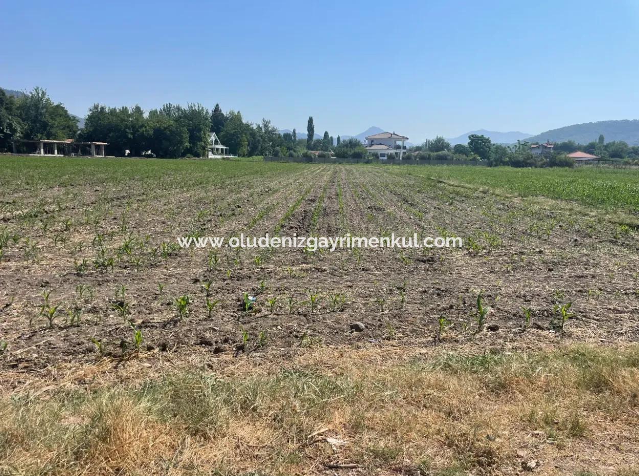 Land For Sale Of 2715M2 In The Built-Up Area Of The Village In Okçular