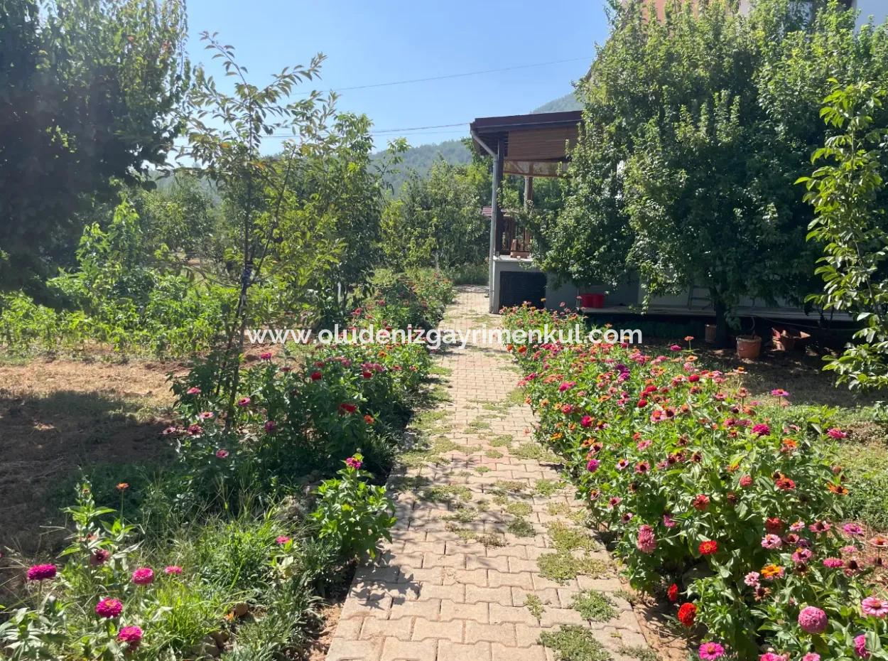 Muğla Ula Köprübaşı Mahallesin In 2378M2 Land In 3 1 Vlla For Sale