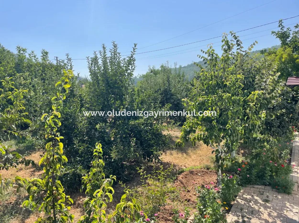 Muğla Ula Köprübaşı Mahallesin In 2378M2 Land In 3 1 Vlla For Sale