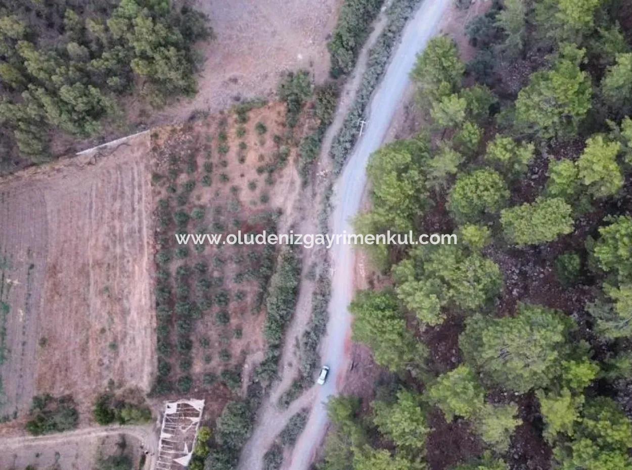 3578M2 Field For Sale On The Road Of Aşı Koyu In Mergenlide