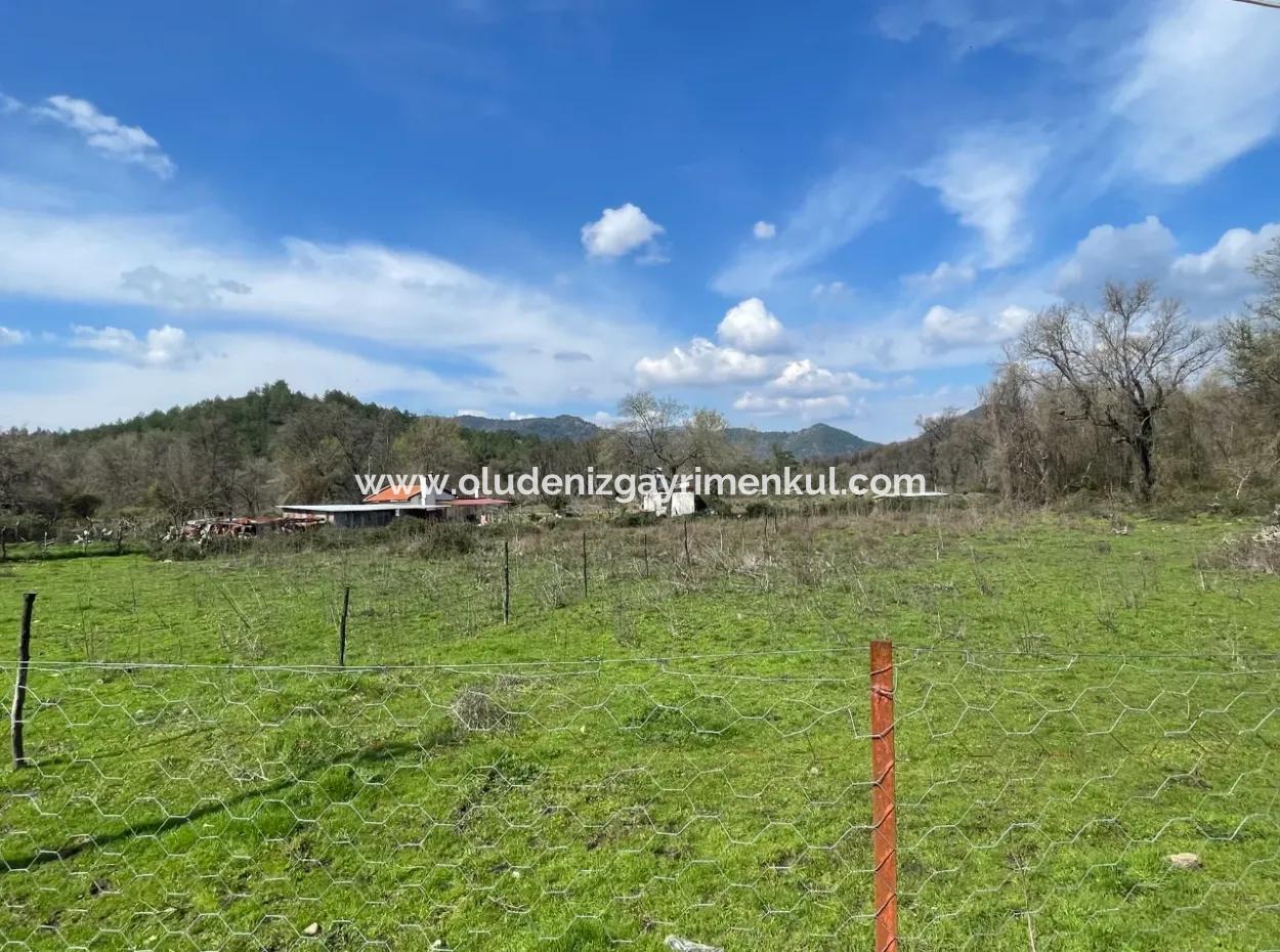 Sultaniye Büyükkaraç Mahallesin For Sale Field