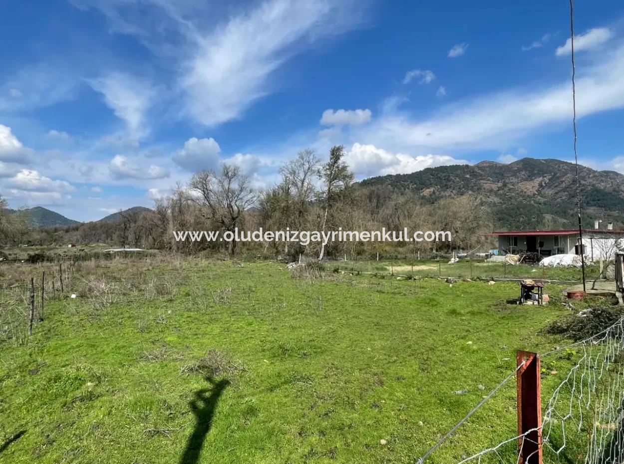 Sultaniye Büyükkaraç Mahallesin For Sale Field