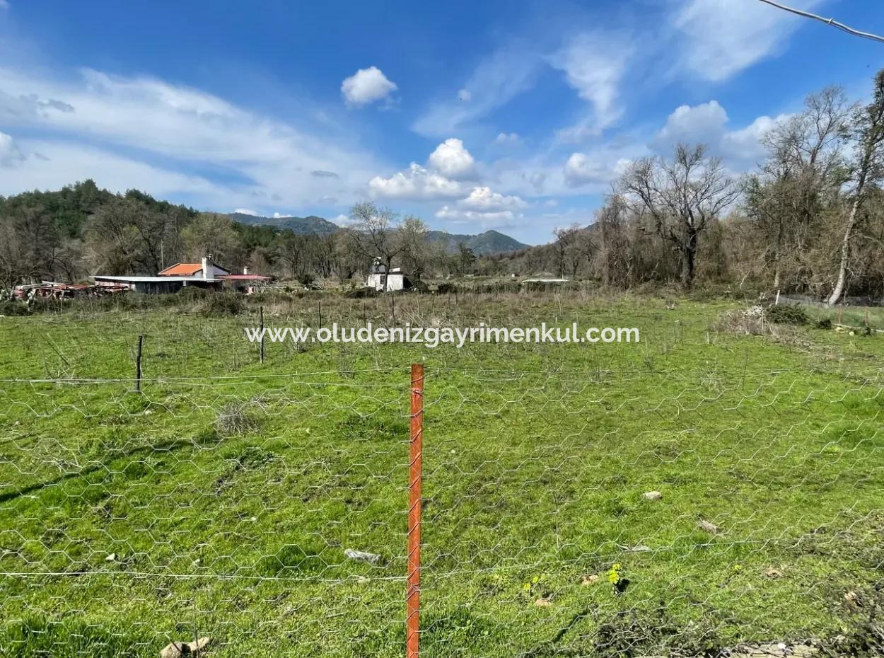 Sultaniye Büyükkaraç Mahallesin For Sale Field