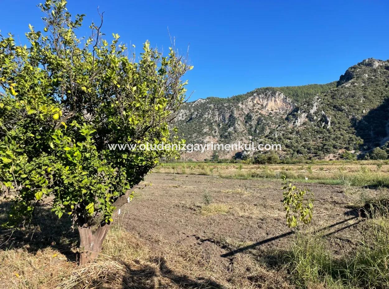 Land For Sale In Dalyan Close To The Center Of 6600M2
