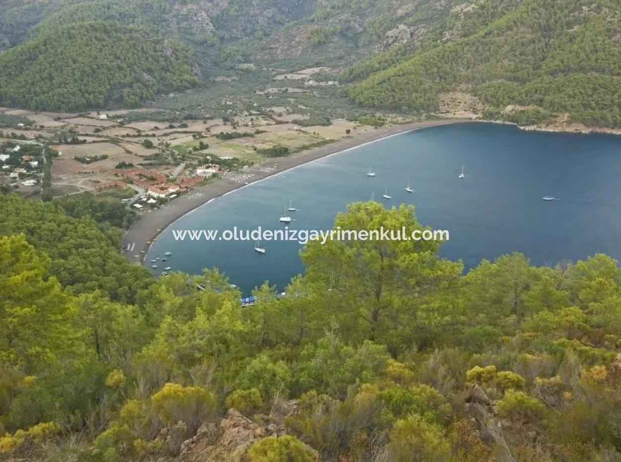 Land For Sale 1007M2 Near The Sea In Ekincik