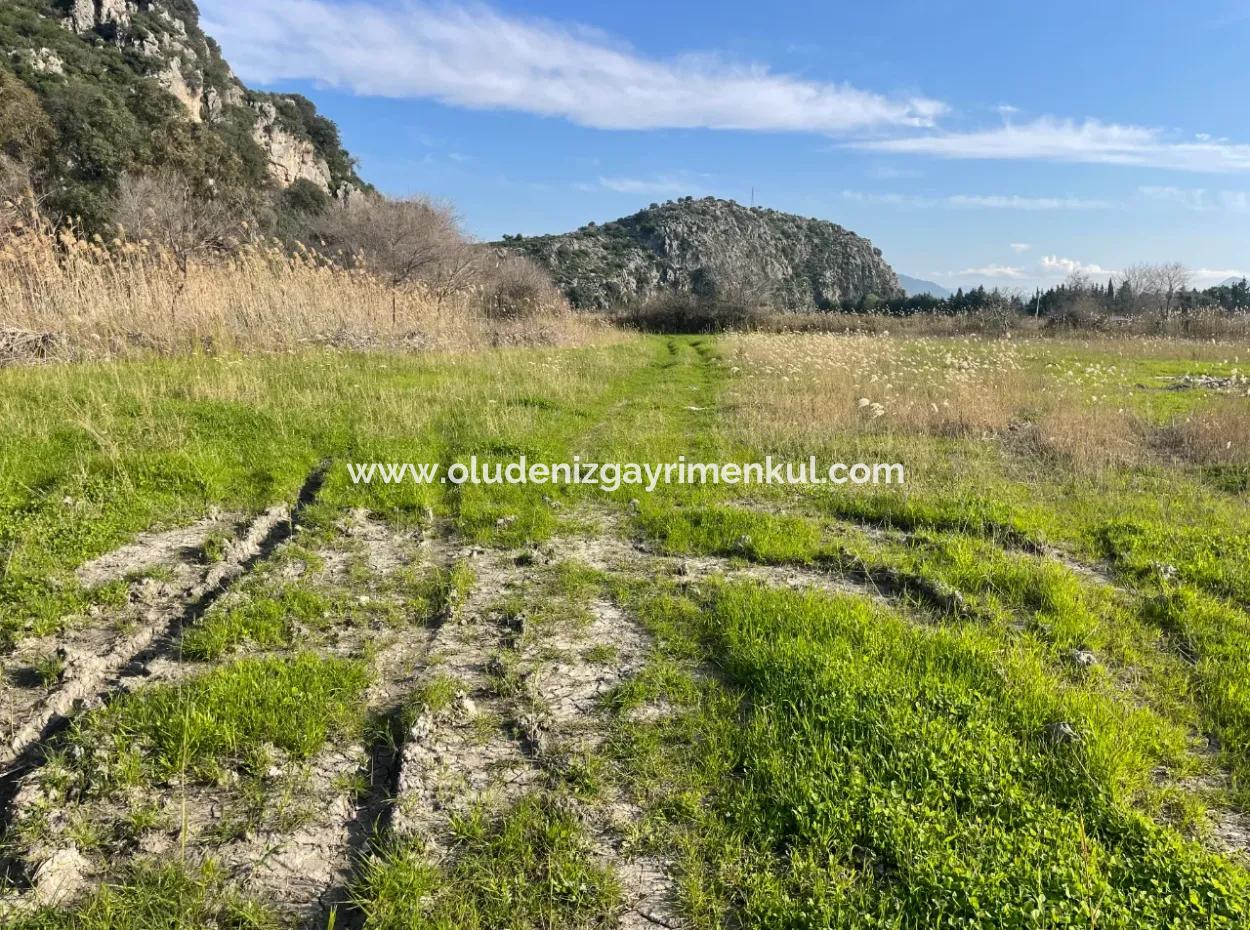 6800 M2 Land For Sale In Dalyan With 5% Residential Zoning